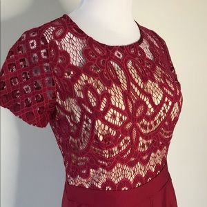 Short sleeve lace bodice jumpsuit